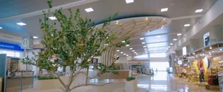 What Terminal is KLM Airlines at UIO – Mariscal Sucre International Airport