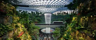 What Terminal is Fiji Airways at SIN – Singapore Changi Airport