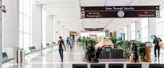 What Terminal is Alaska Airlines at TYS – McGhee Tyson Airport